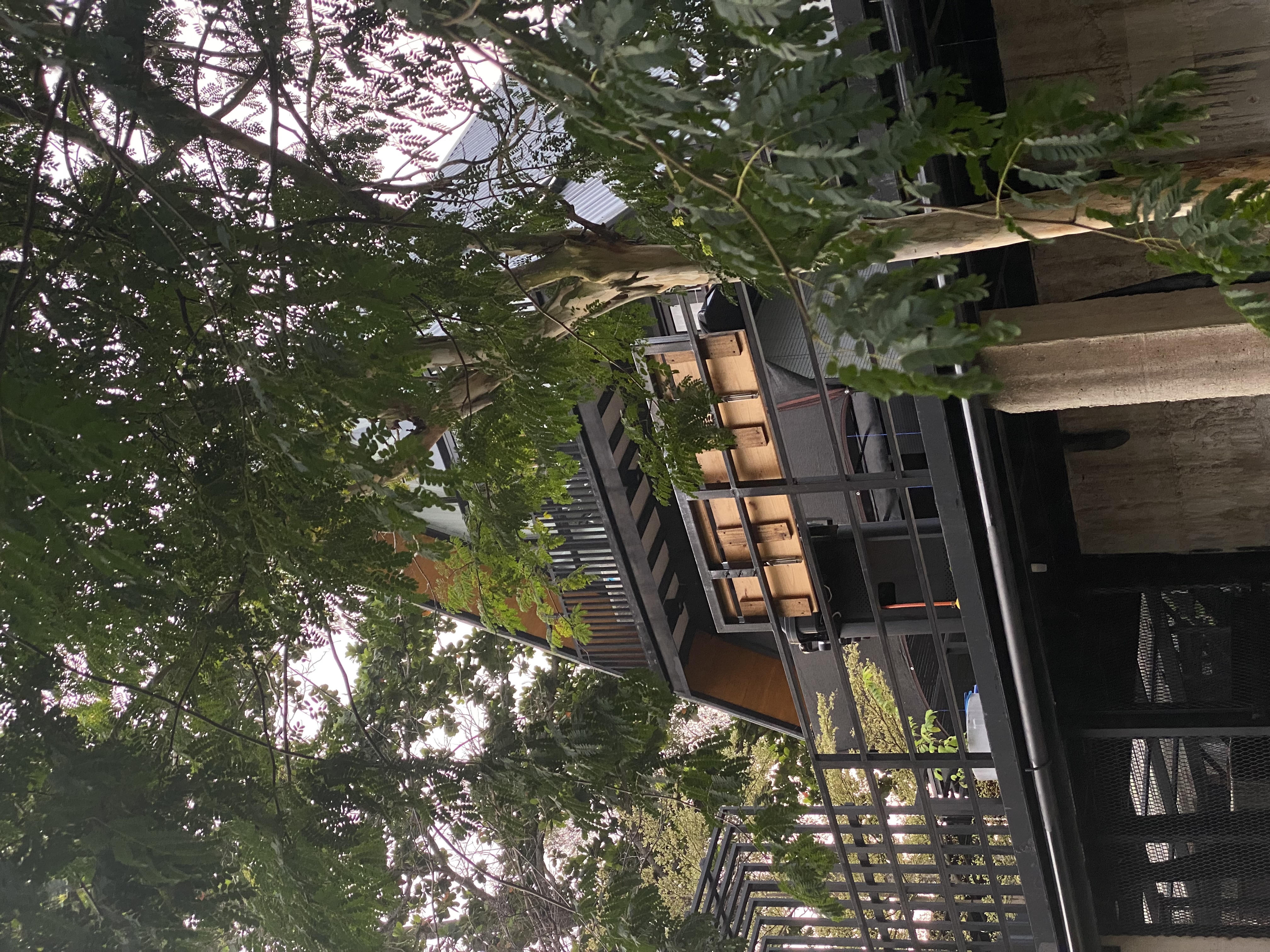 Treetop Hideaway, Forest Frame, or Canopy Retreat
